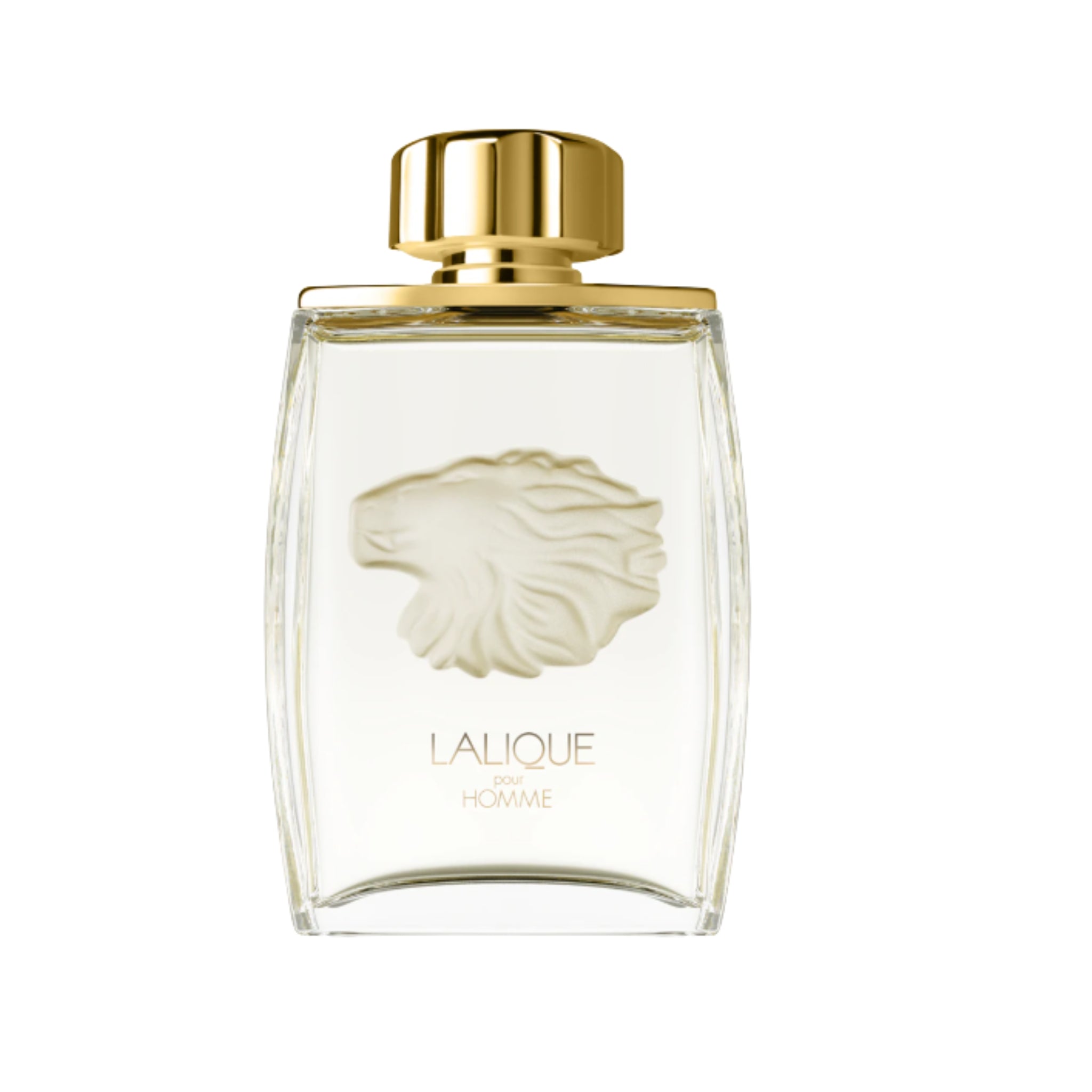 Pour Homme Lion