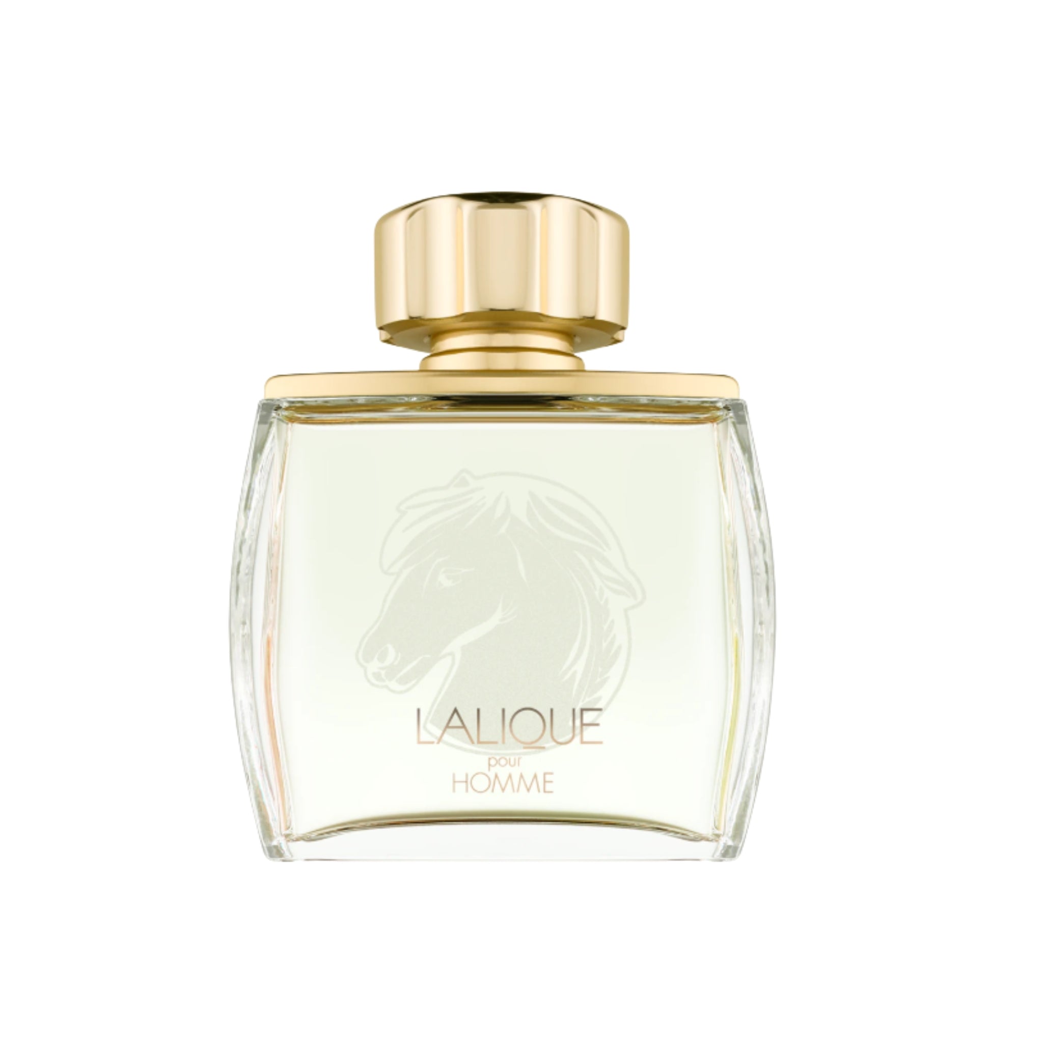 Pour Homme Equus